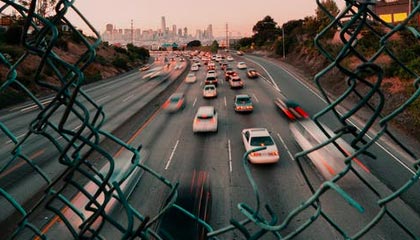 广州对比佛山，哪座城市更懂得品茶？